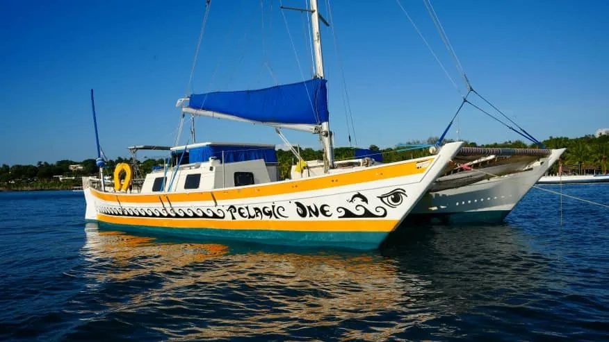 A yellow-and-white catamaran named Pelagic One at anchor