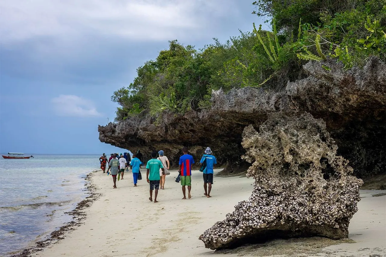 Group walking along a sandy beach beside a coral-rag rock overhang