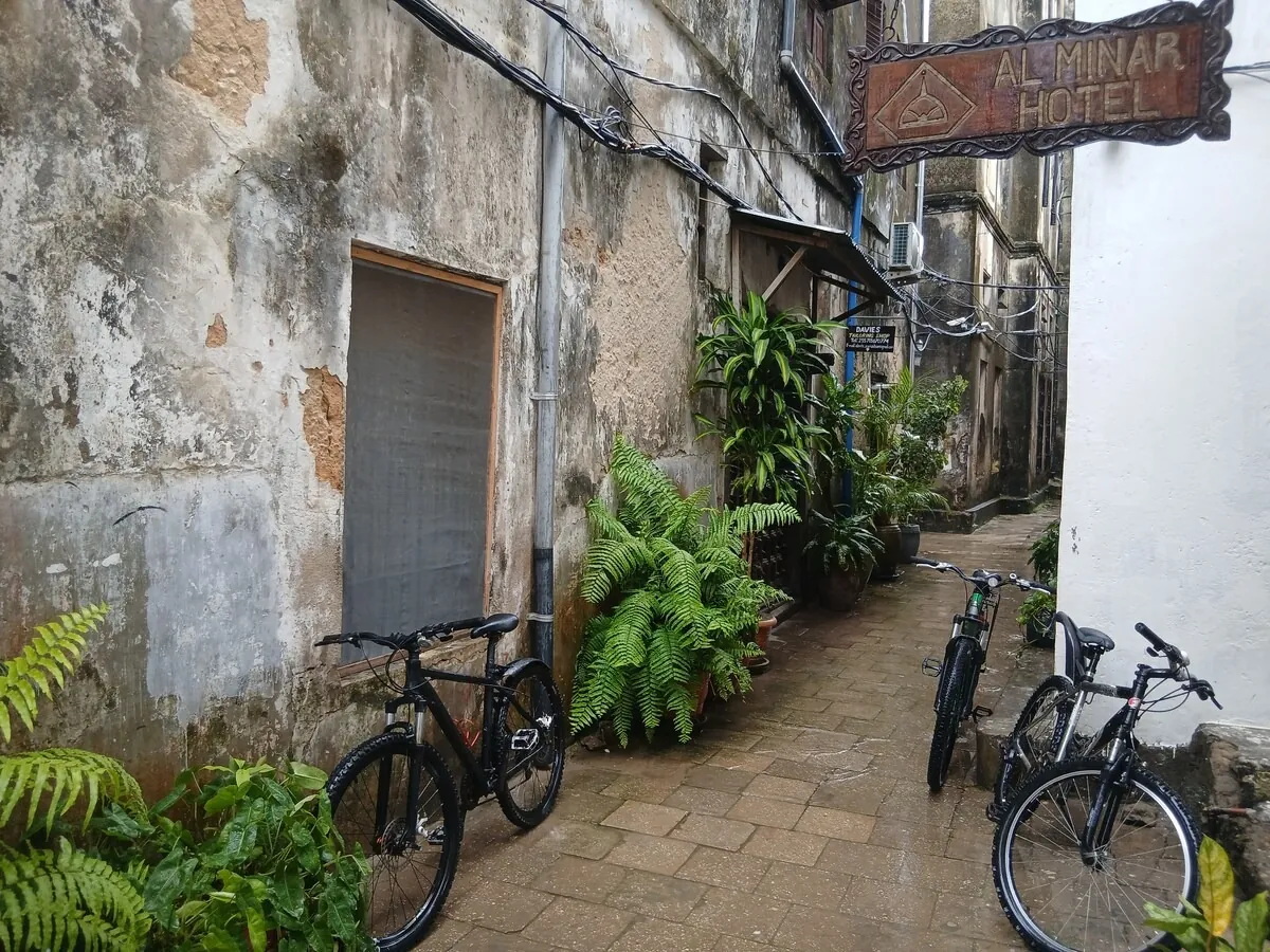 Mountain bikes parked in a narrow Stone Town alley with ferns and old walls