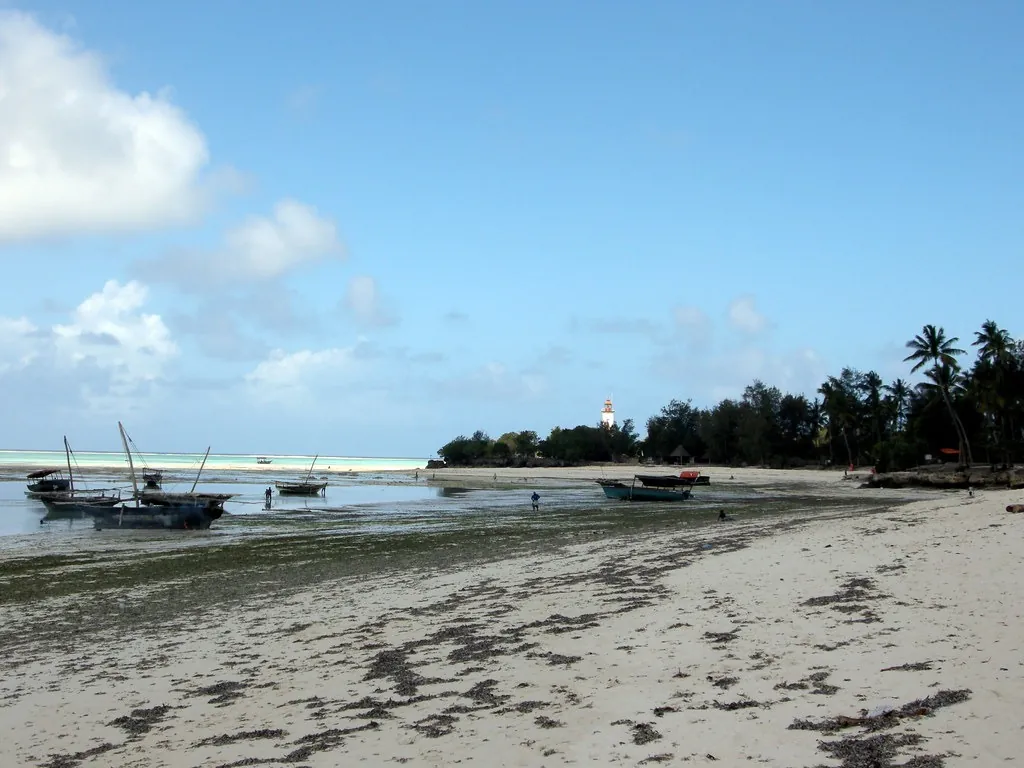 Deep-sea fishing from Nungwi