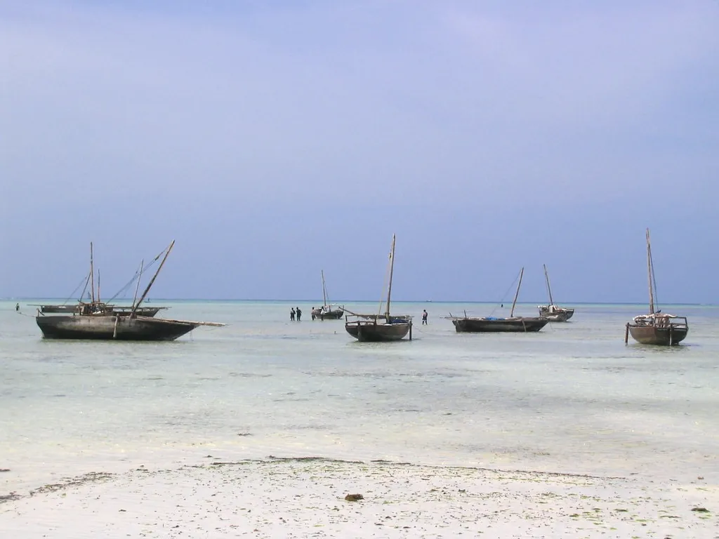 Traditional fishing boats moored off the beach at Nungwi