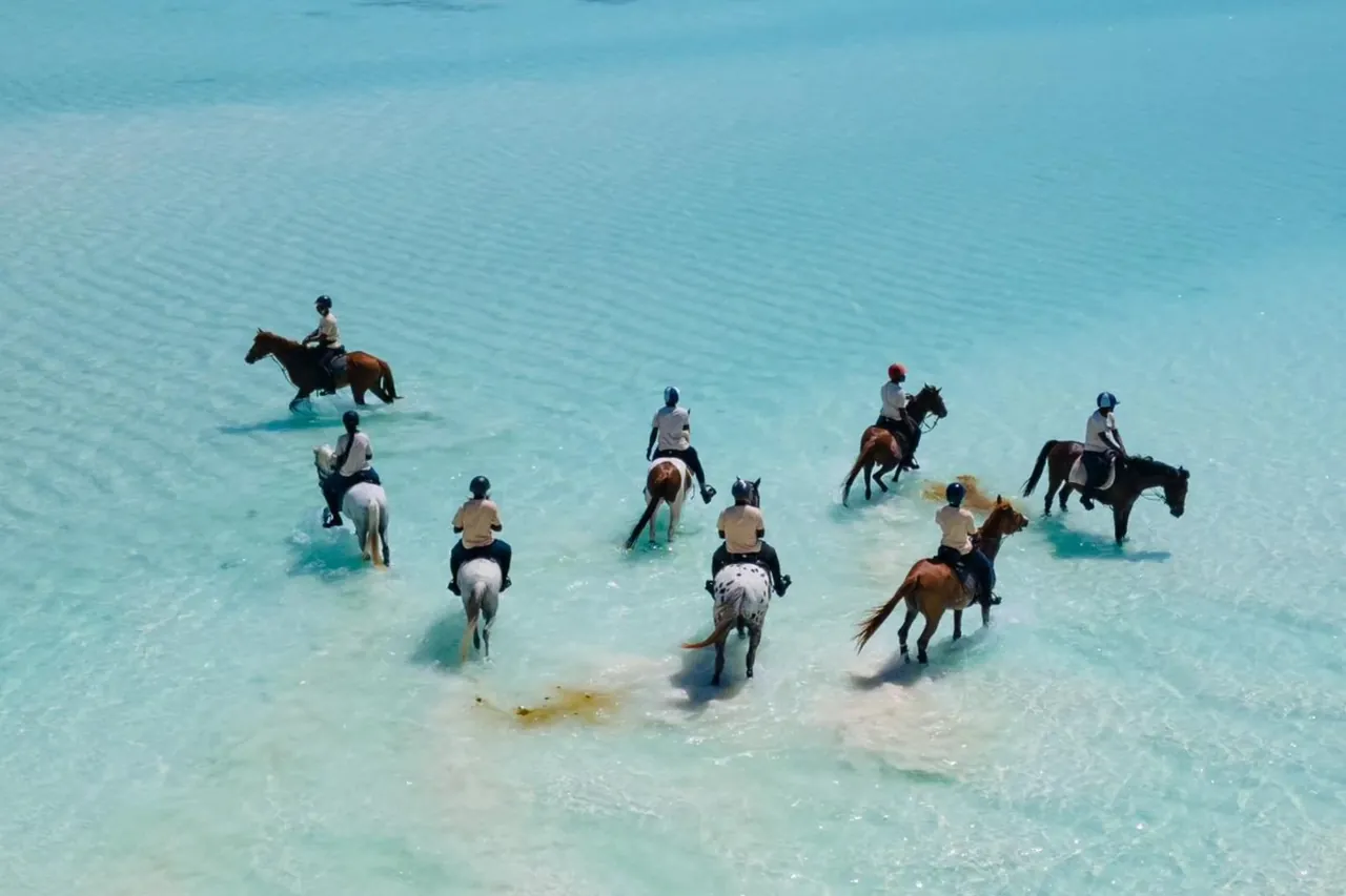 Aerial view of a group of riders wading horses through shallow turquoise water