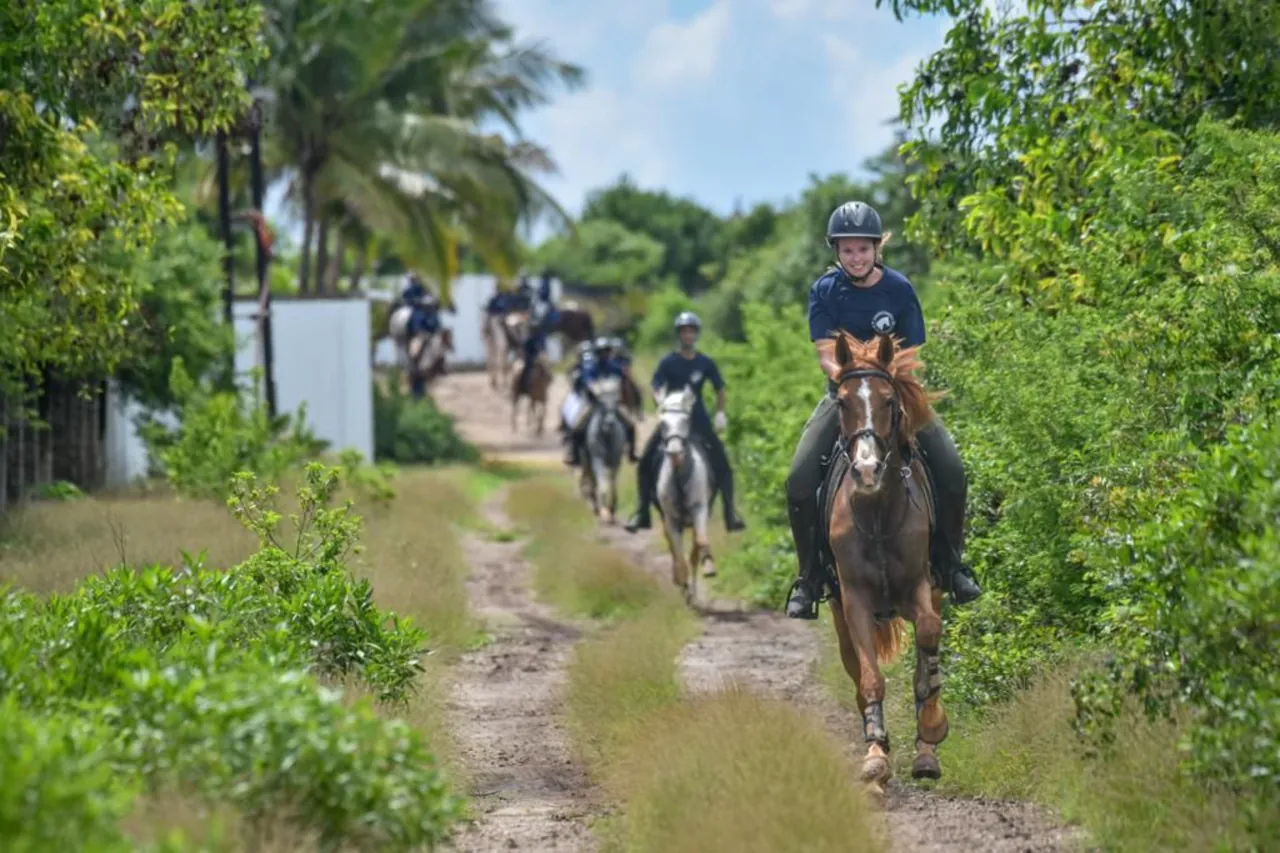 Riders coming along a grassy bush track between green shrubs