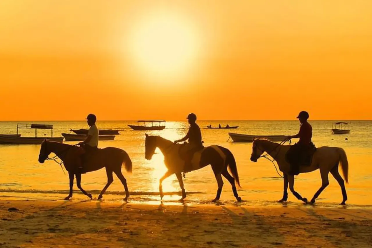 Three riders silhouetted against an orange sunset on the beach