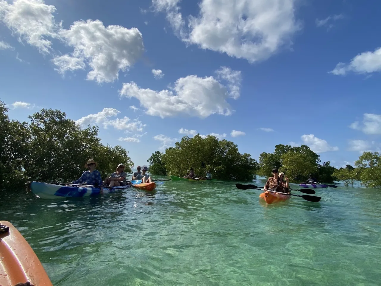 Kayaking the mangroves at Michamvi