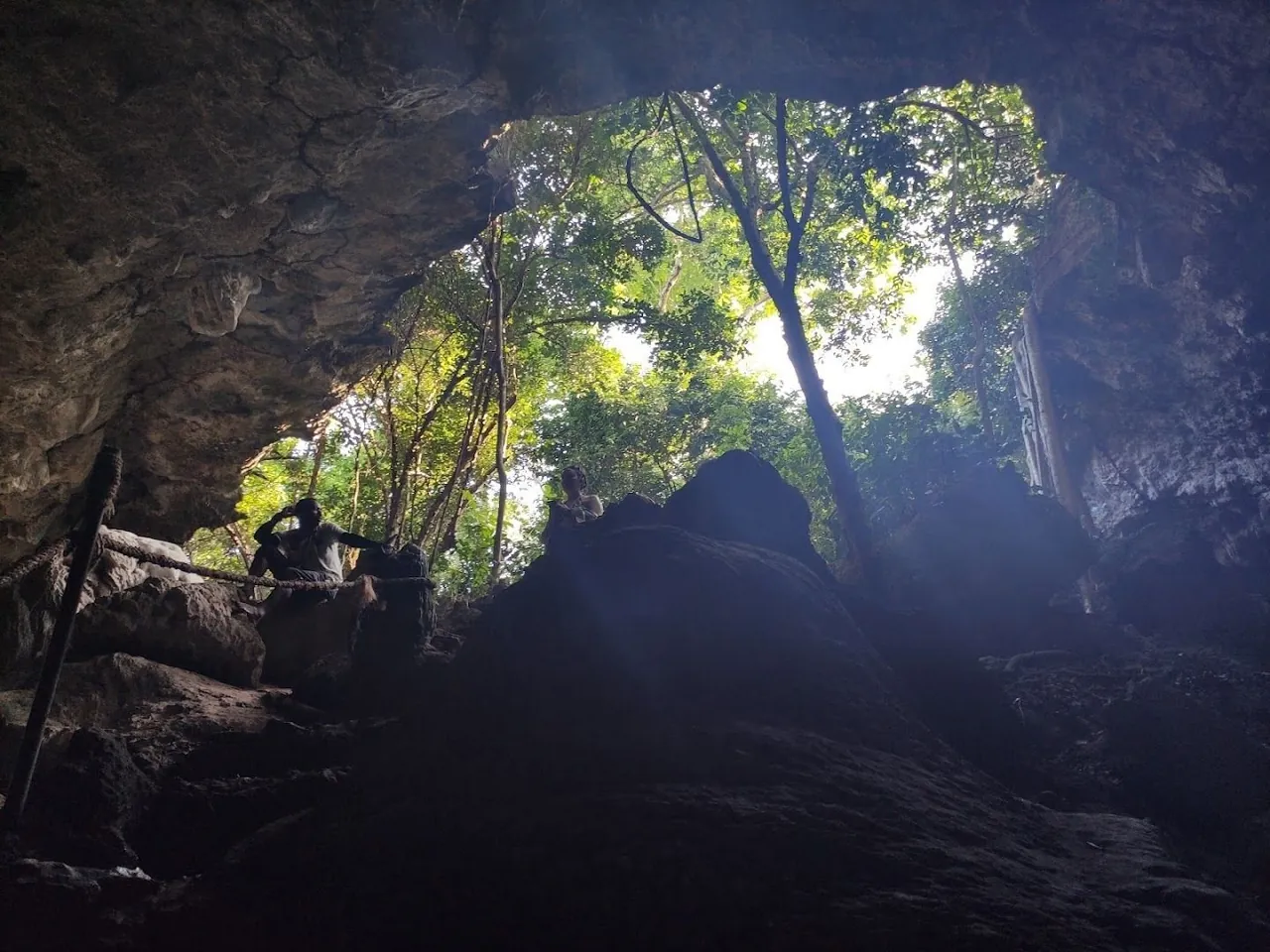 Dark cave mouth opening onto bright jungle trees with ropes on the rocks