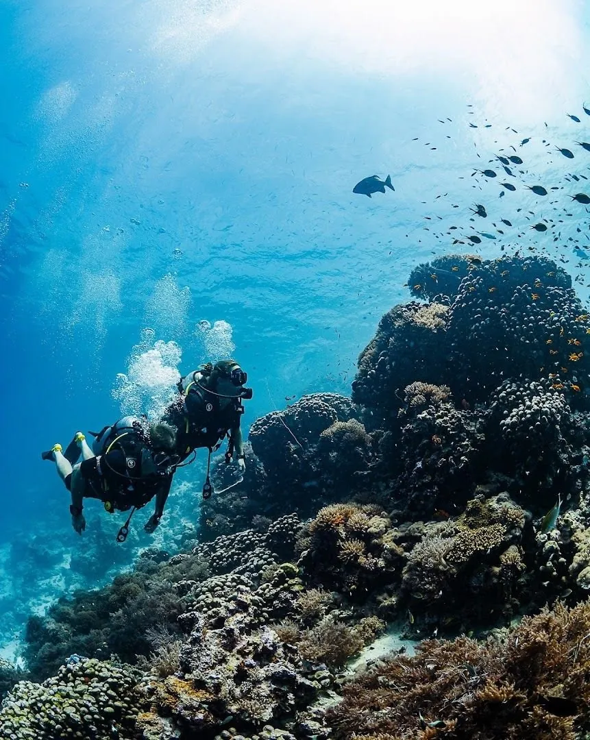 Two scuba divers swimming past a coral pinnacle in clear blue water