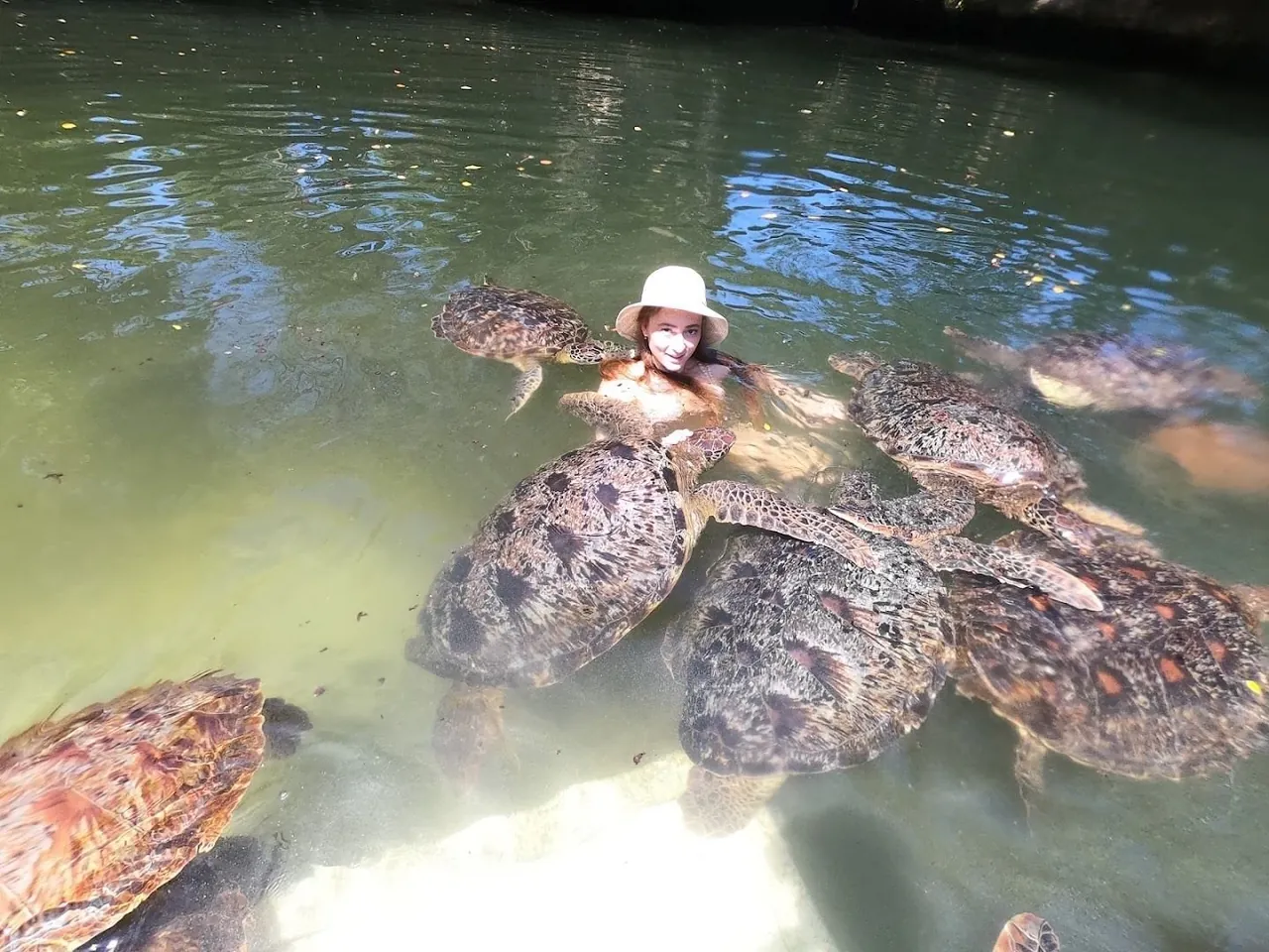 Crowded pool with many sea turtles around a visitor in a sunhat