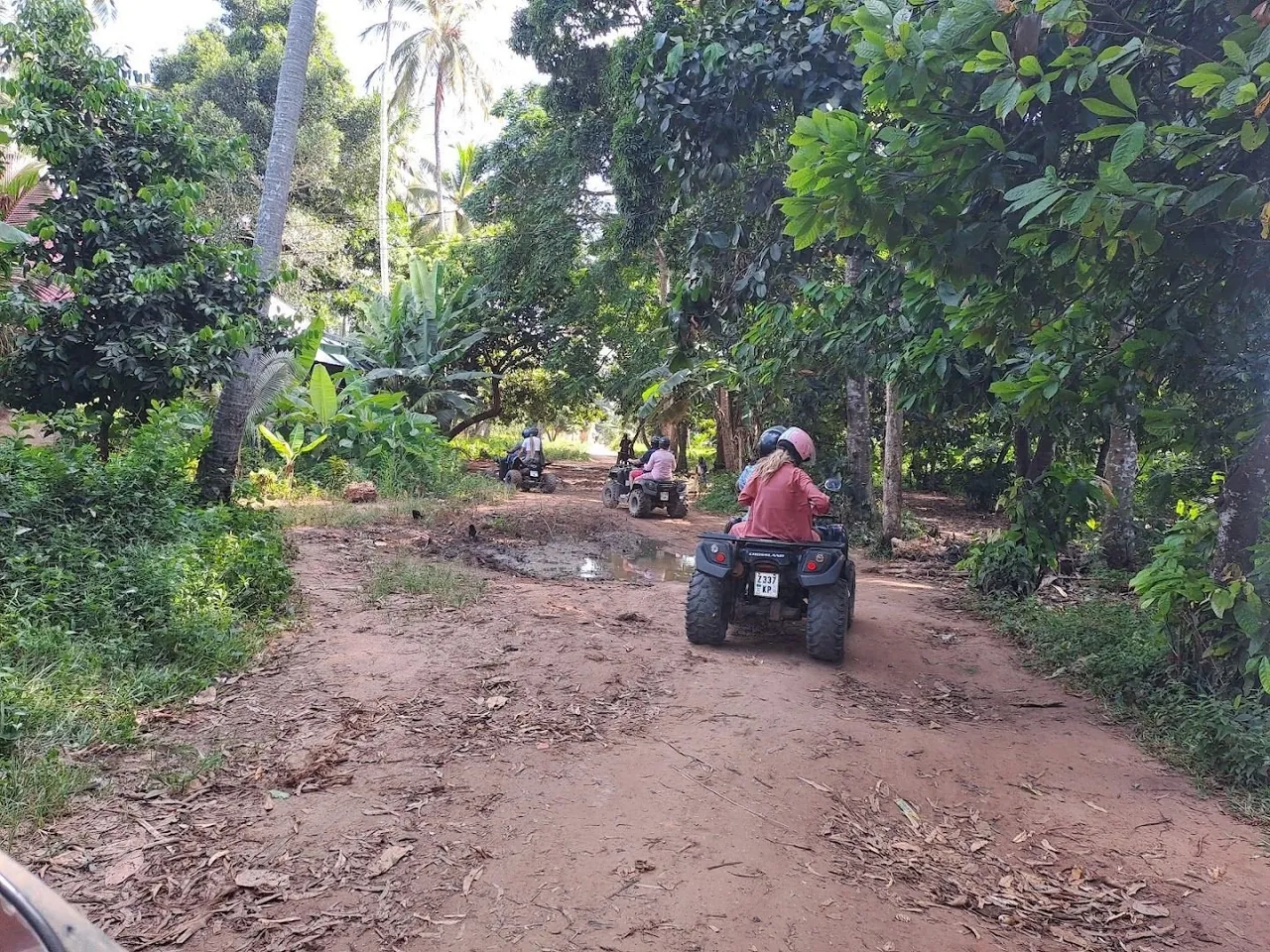 Quad bikes on a red dirt lane through dense green trees