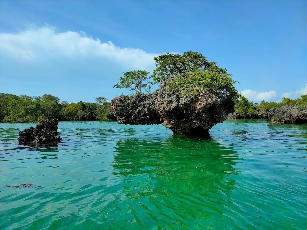Mushroom-shaped coral rock island rising from a green lagoon