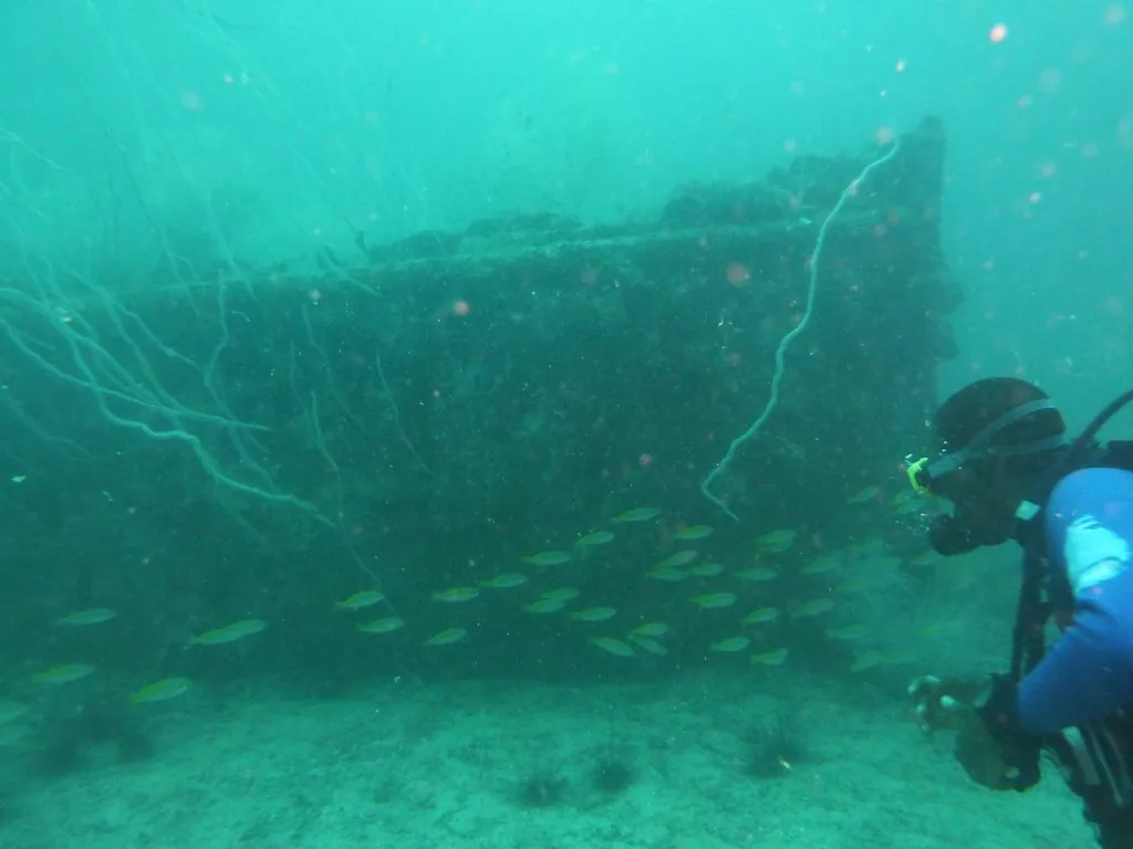 Wrecks and reefs off Stone Town