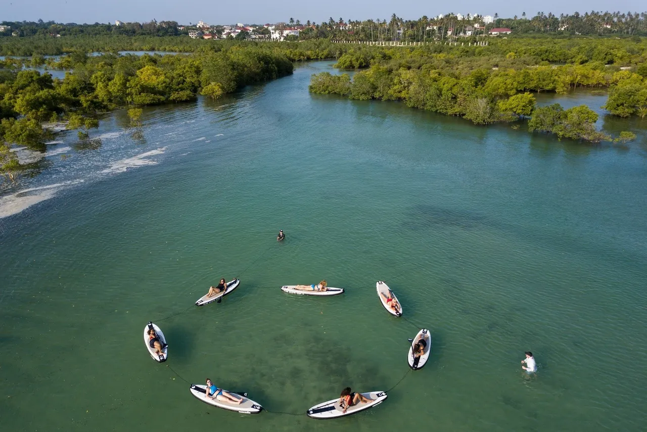 Drone view of paddleboards in a circle in a wide mangrove channel
