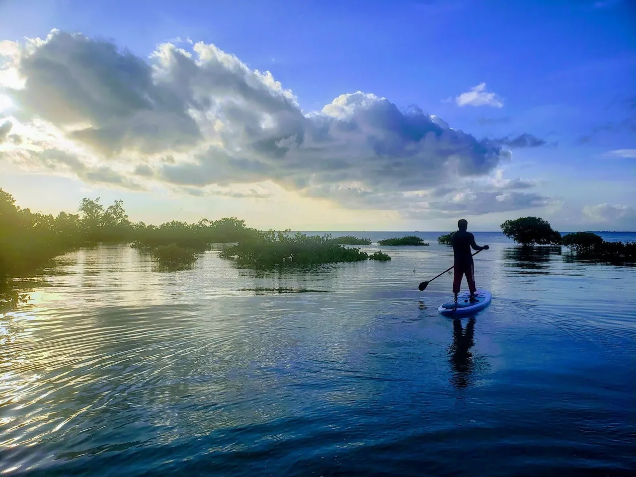 A paddler silhouetted on calm water among small mangrove islands