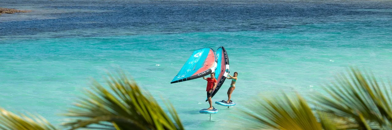 Two riders on foil boards holding wings over turquoise water, framed by palm fronds