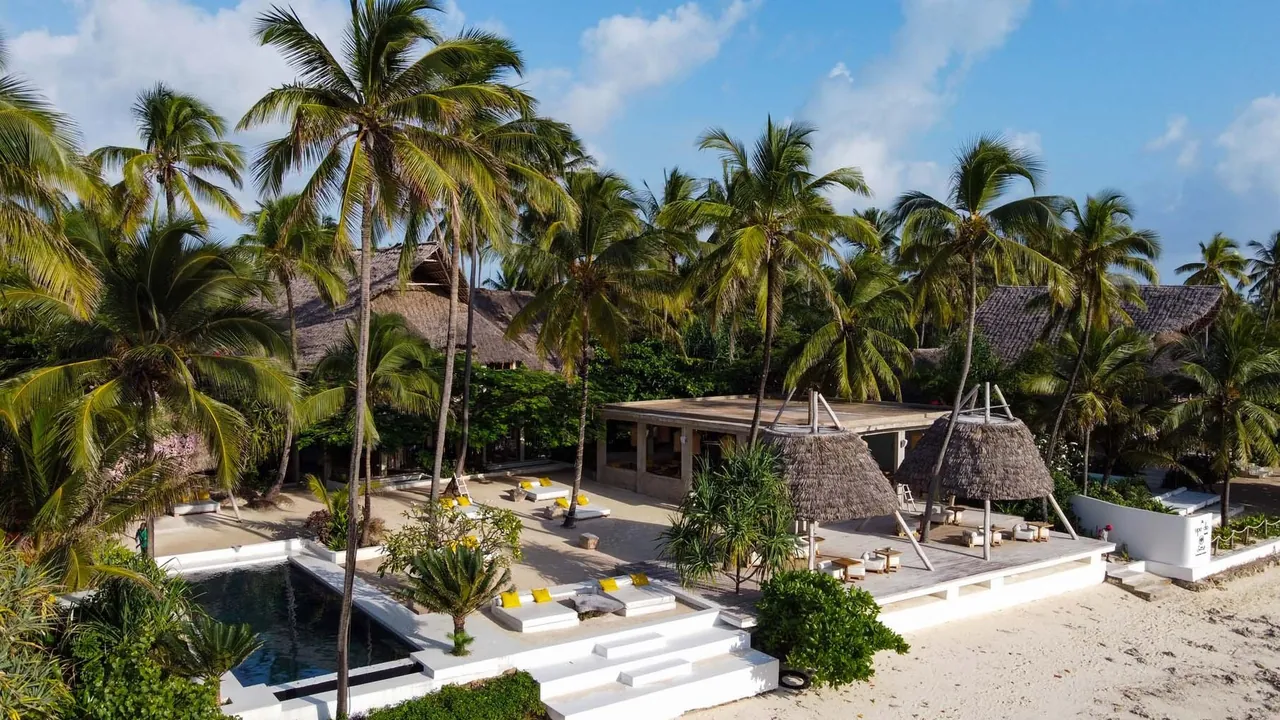 Aerial view of palm trees, a long pool with white daybeds, a wooden deck with thatched parasols and the beach in front.
