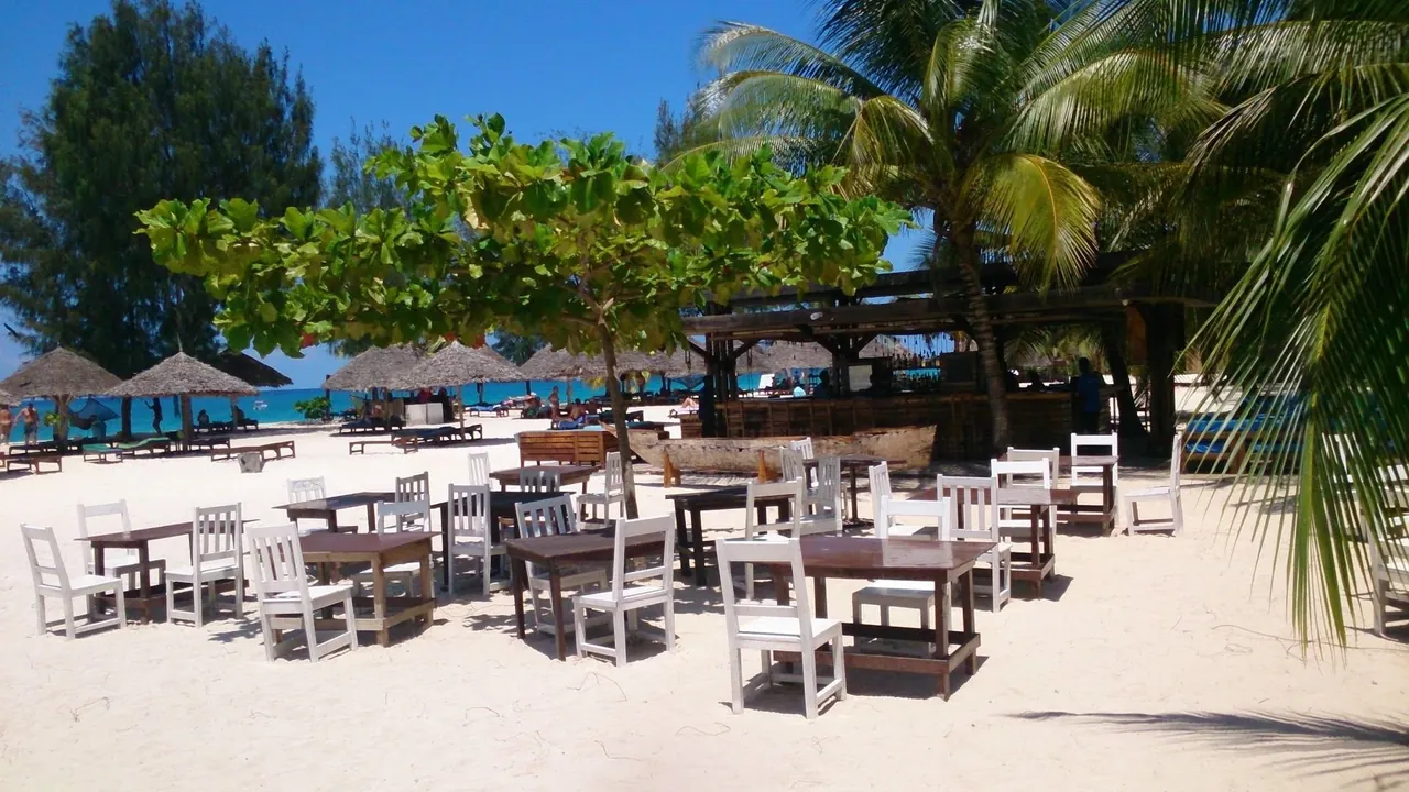 Wooden tables and white chairs on the sand under trees, with the bar behind