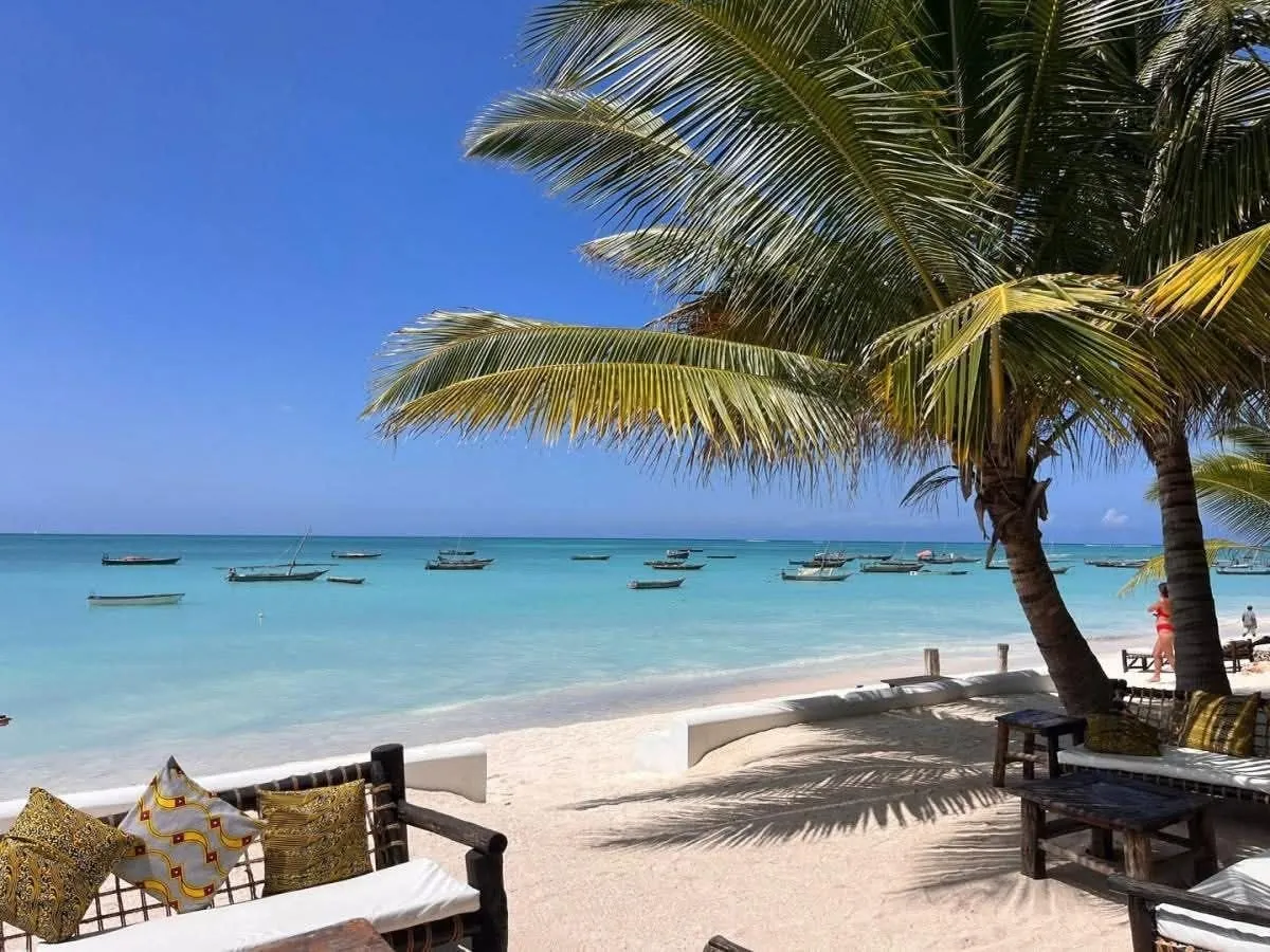 Lounge chairs with cushions under palms on white sand by a turquoise sea