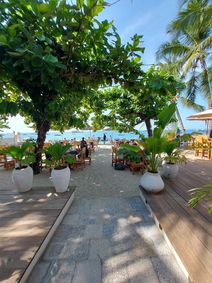 A paved path between trees and potted plants leading to the beach