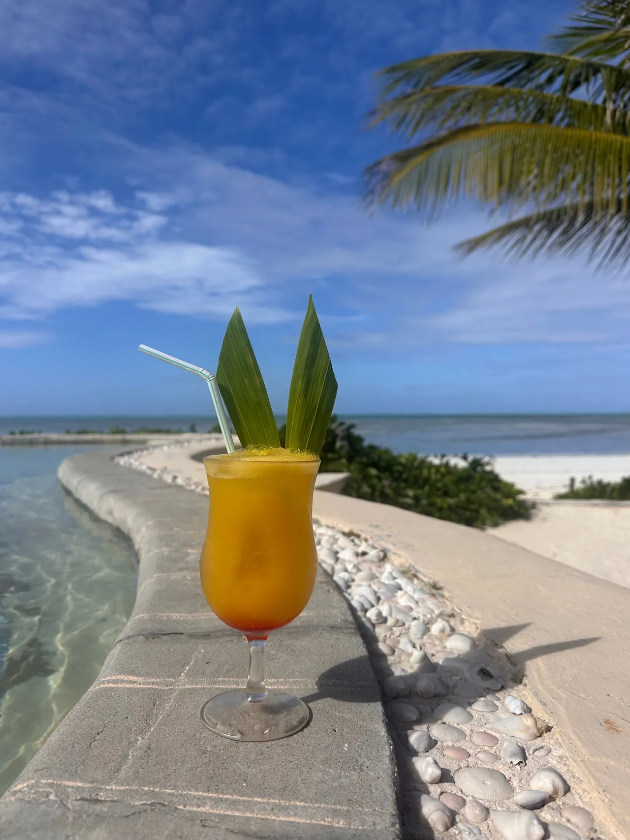 An orange cocktail garnished with leaves on a low seafront wall, beach and sea behind.