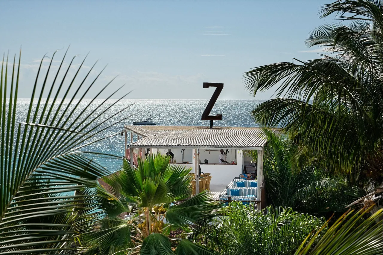 View past palm fronds to a big Z sign on the beach deck and the sea