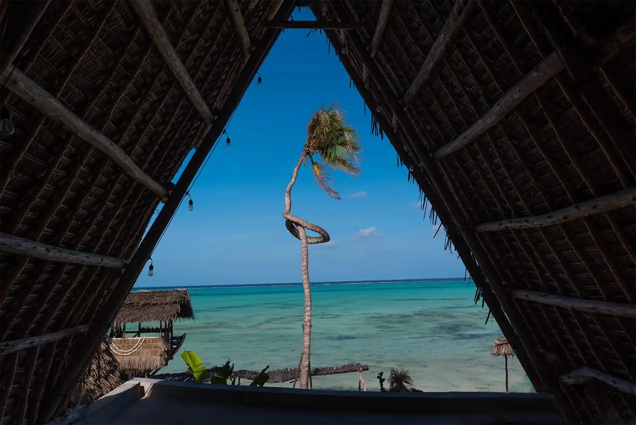 The sea and a palm framed through an A-shaped thatched opening