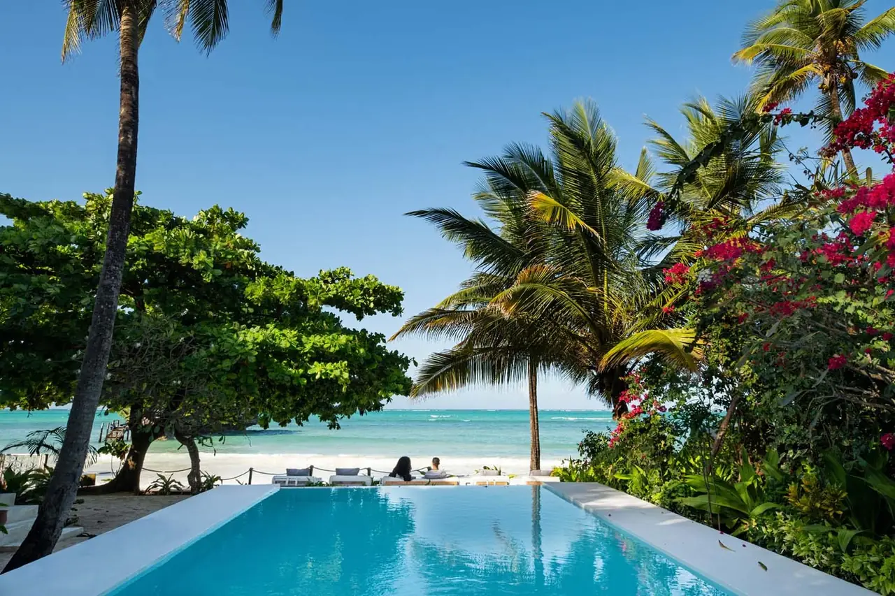A beachfront infinity pool with palms and the sea beyond