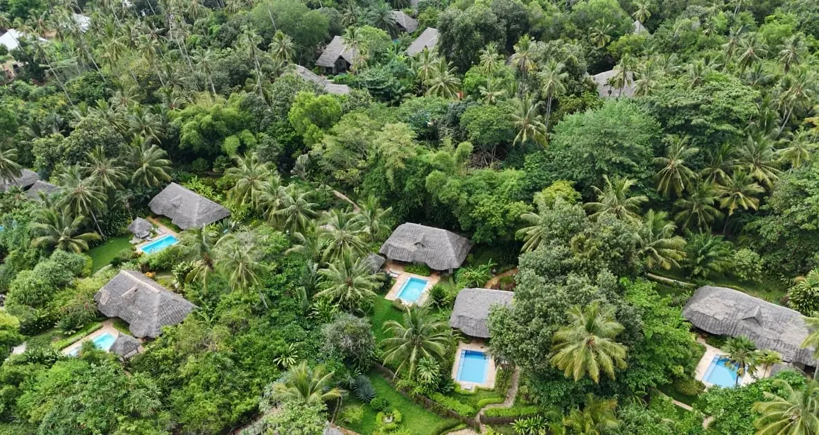 Aerial view of thatched villas with private pools among dense forest