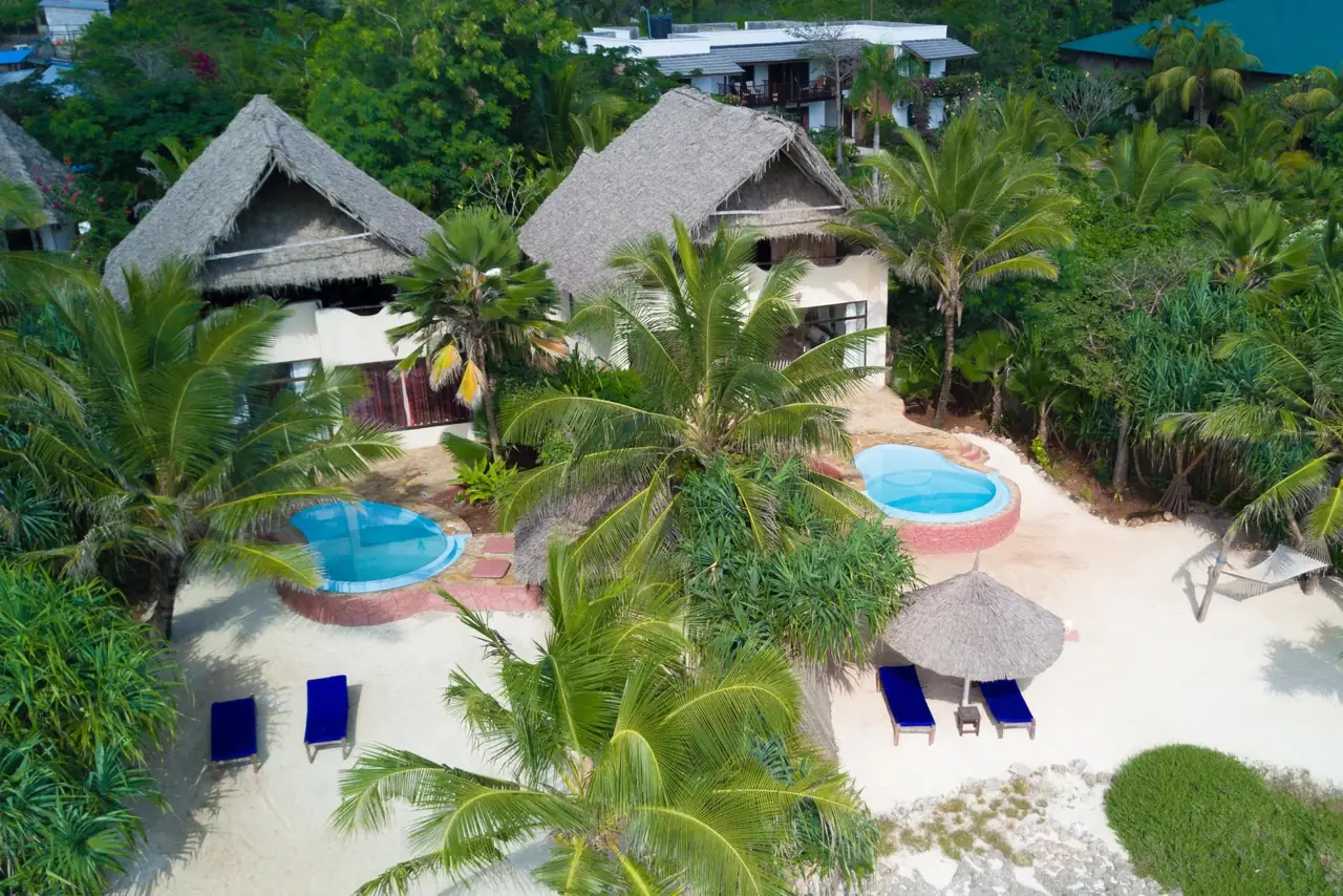 Aerial view of thatched cottages, plunge pools and palms above the shore