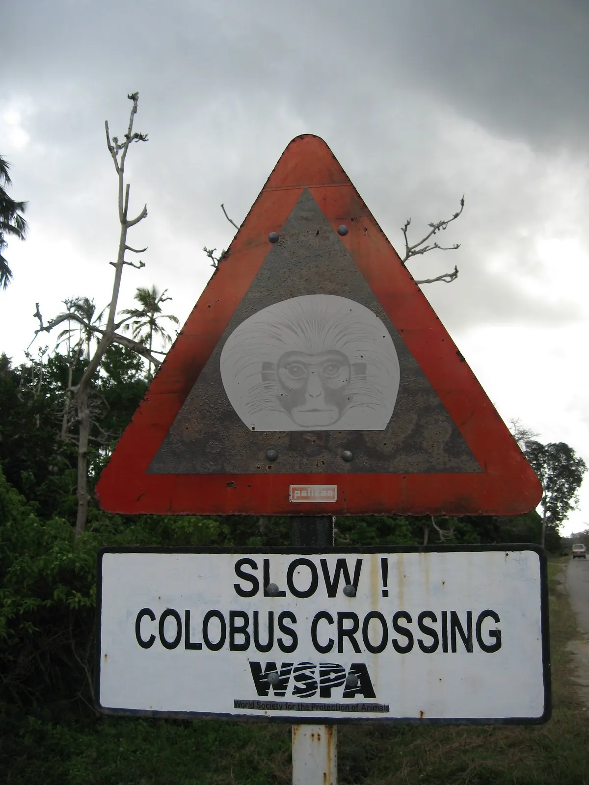A red triangular road sign with a colobus monkey face above a plate reading 'Slow! Colobus Crossing — WSPA'