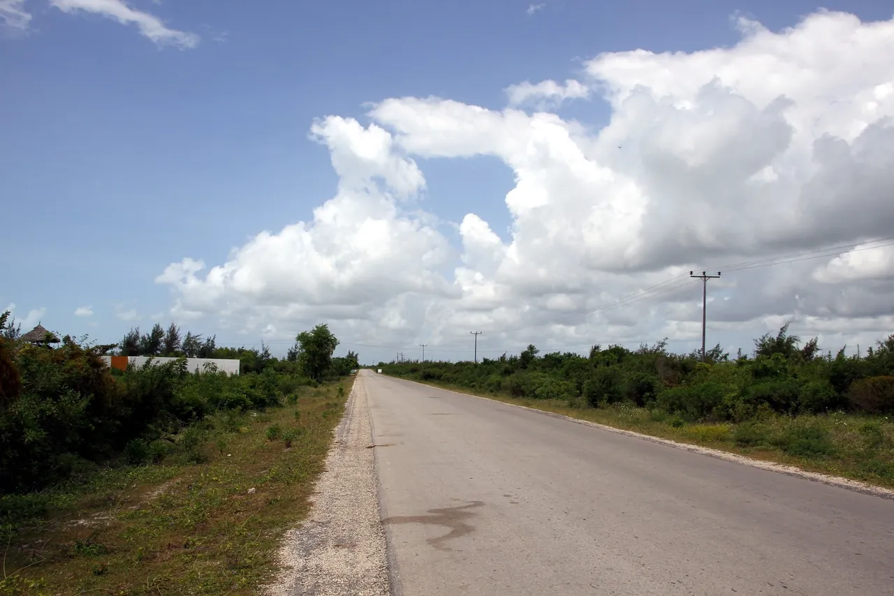 A straight, empty tarmac road through low coastal scrub under a big cumulus sky