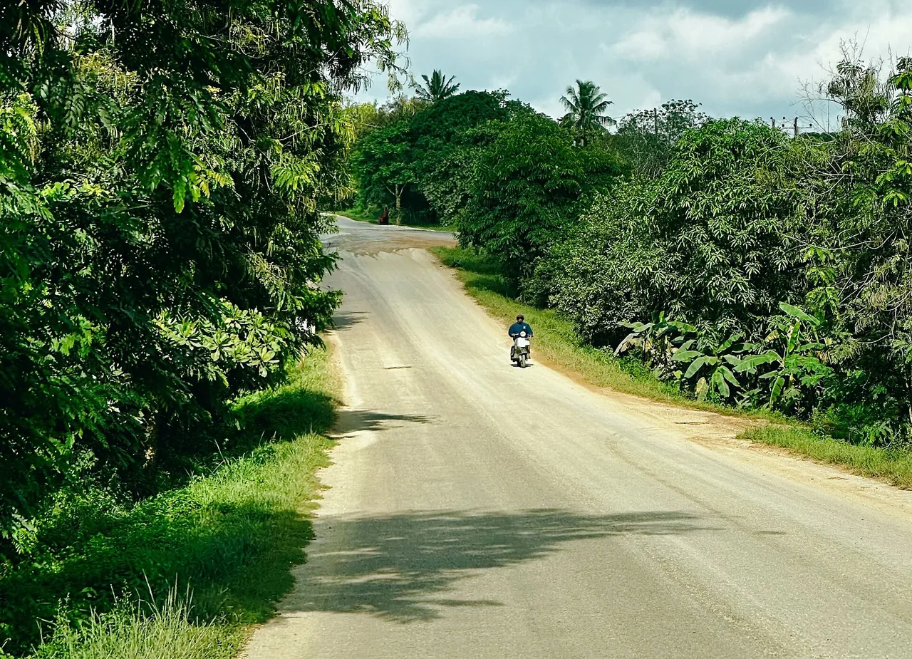 A helmeted rider on a scooter on a quiet tarmac road through green bush in northern Unguja