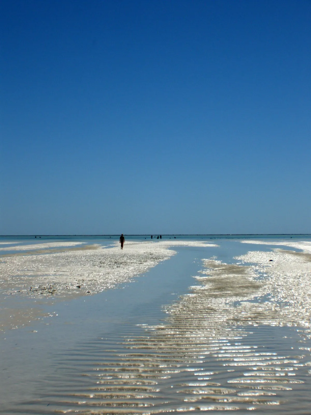 A lone walker far out on bright sand ridges and shallow channels of a lagoon at low tide under a clear sky