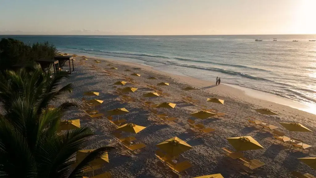 Aerial view of the beach at Muyuni with rows of sunshades and a calm sea