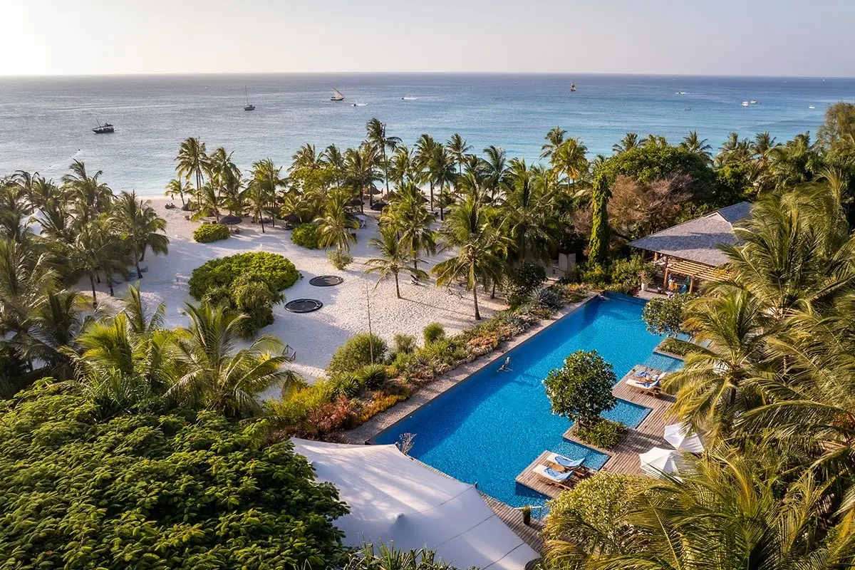 Aerial view of a long blue pool among palms beside the beach