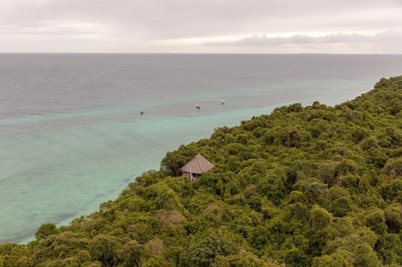 View from high up over the green forest canopy and a bungalow roof to the turquoise sea