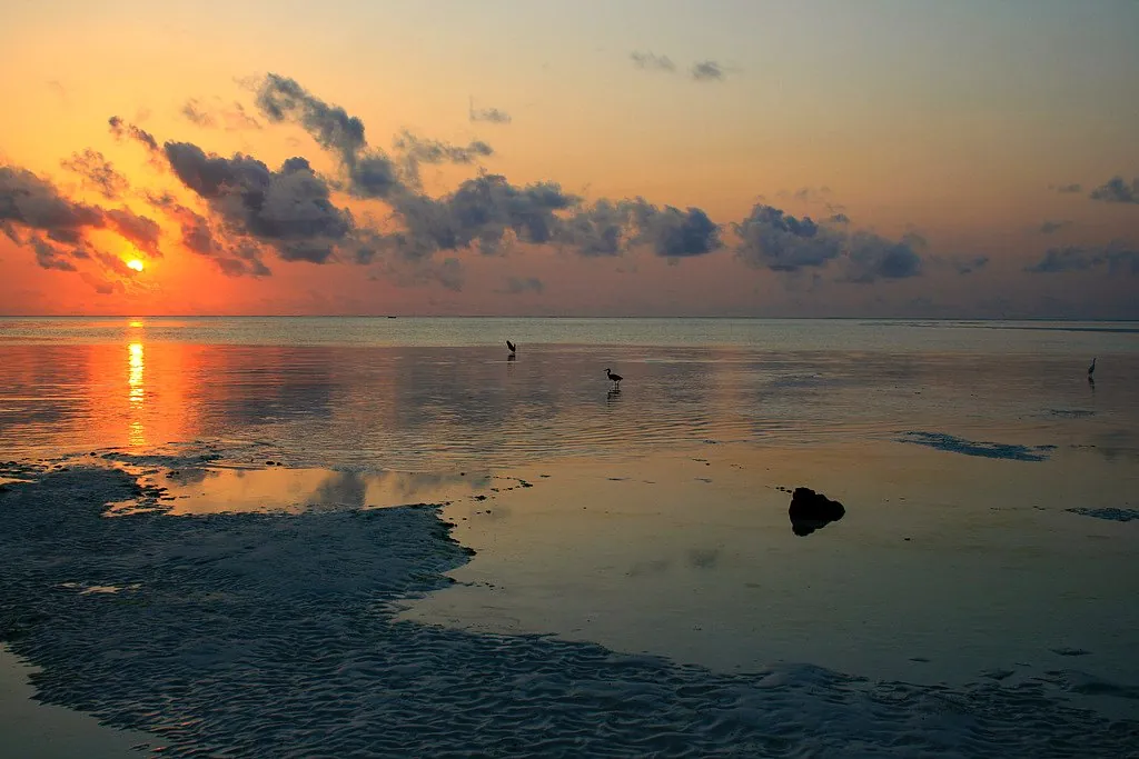 A red-orange sunrise reflected in tidal pools on the reef flat, under dark clouds.