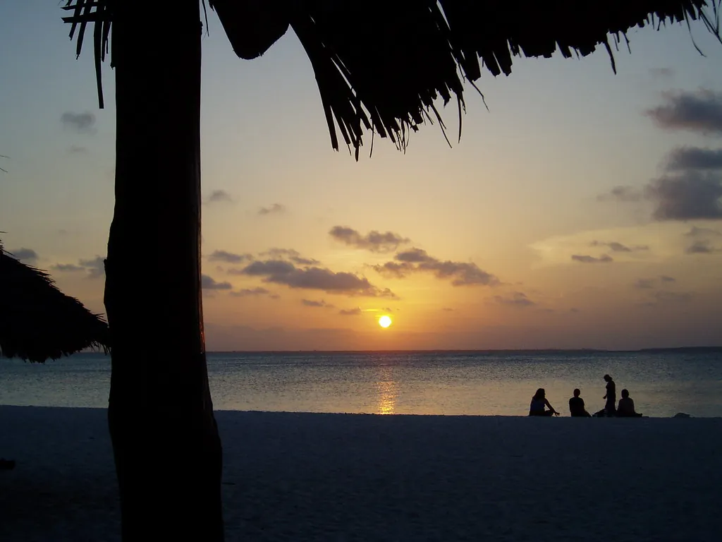 Sun setting over the sea framed by a palm trunk and thatched umbrella, a few people silhouetted on the beach