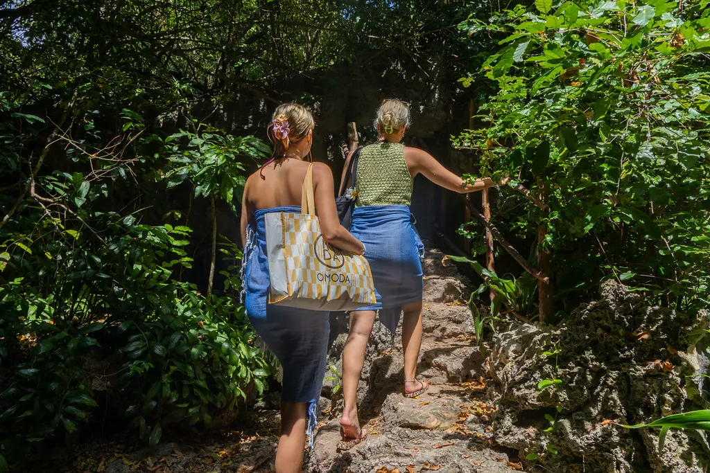 Two visitors seen from behind walking along a rocky path through dense green forest.