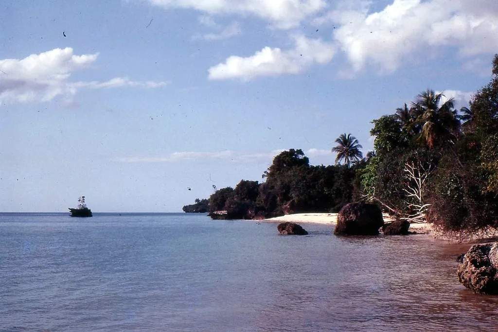 Calm sea along a coast of rocks and palm-fringed beach with a ship offshore
