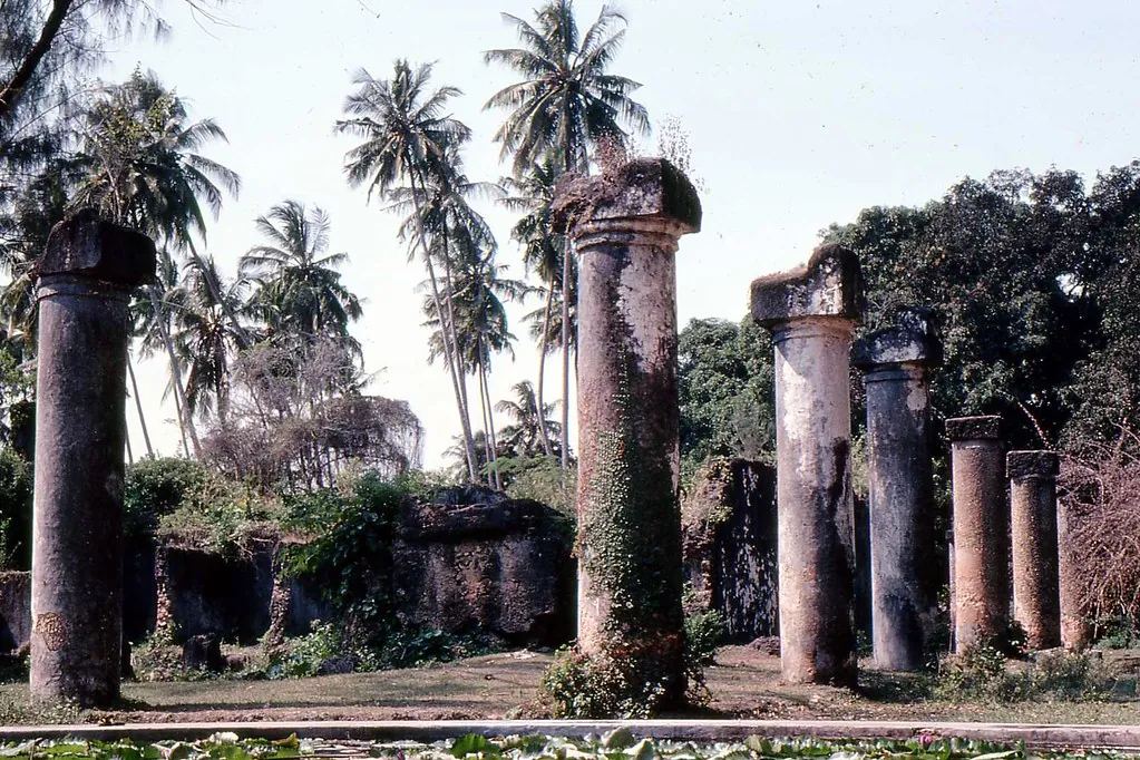 Tall ruined columns among palm trees with vegetation growing on top