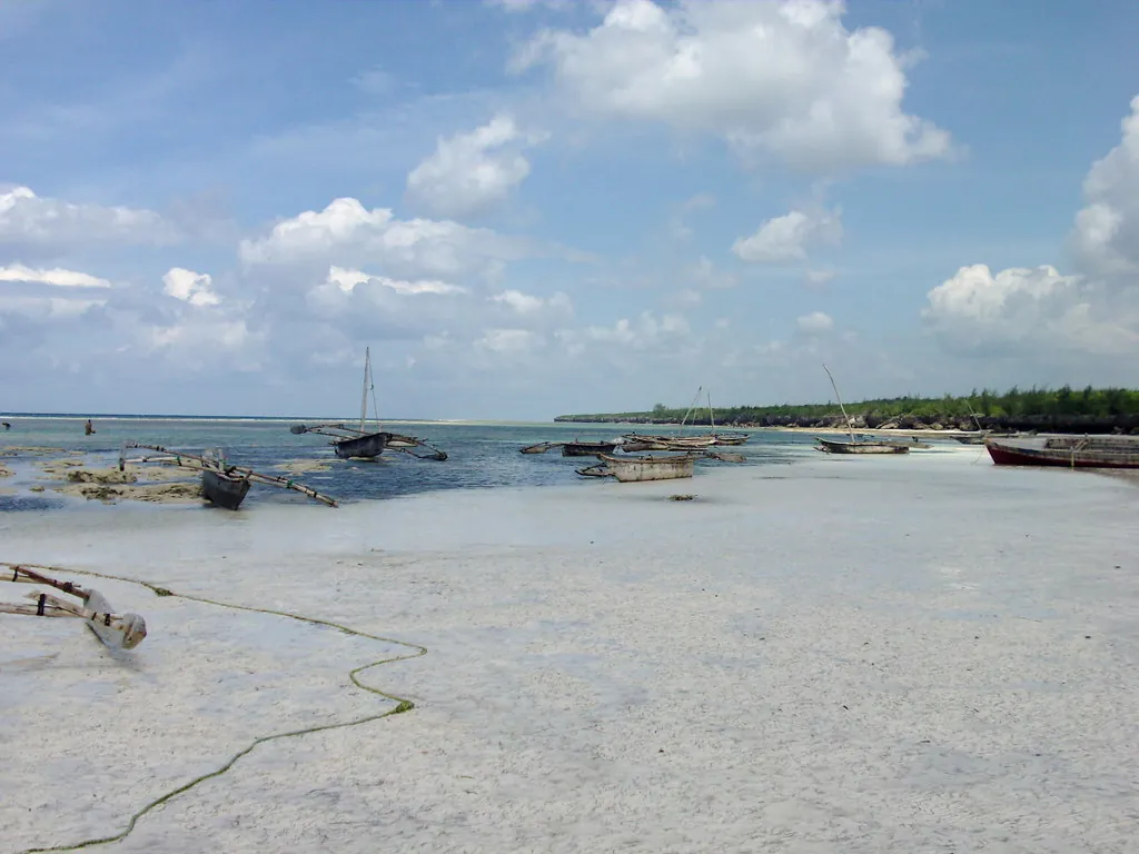 Outrigger fishing boats resting on wet sand and shallow water at low tide, reef line on the horizon