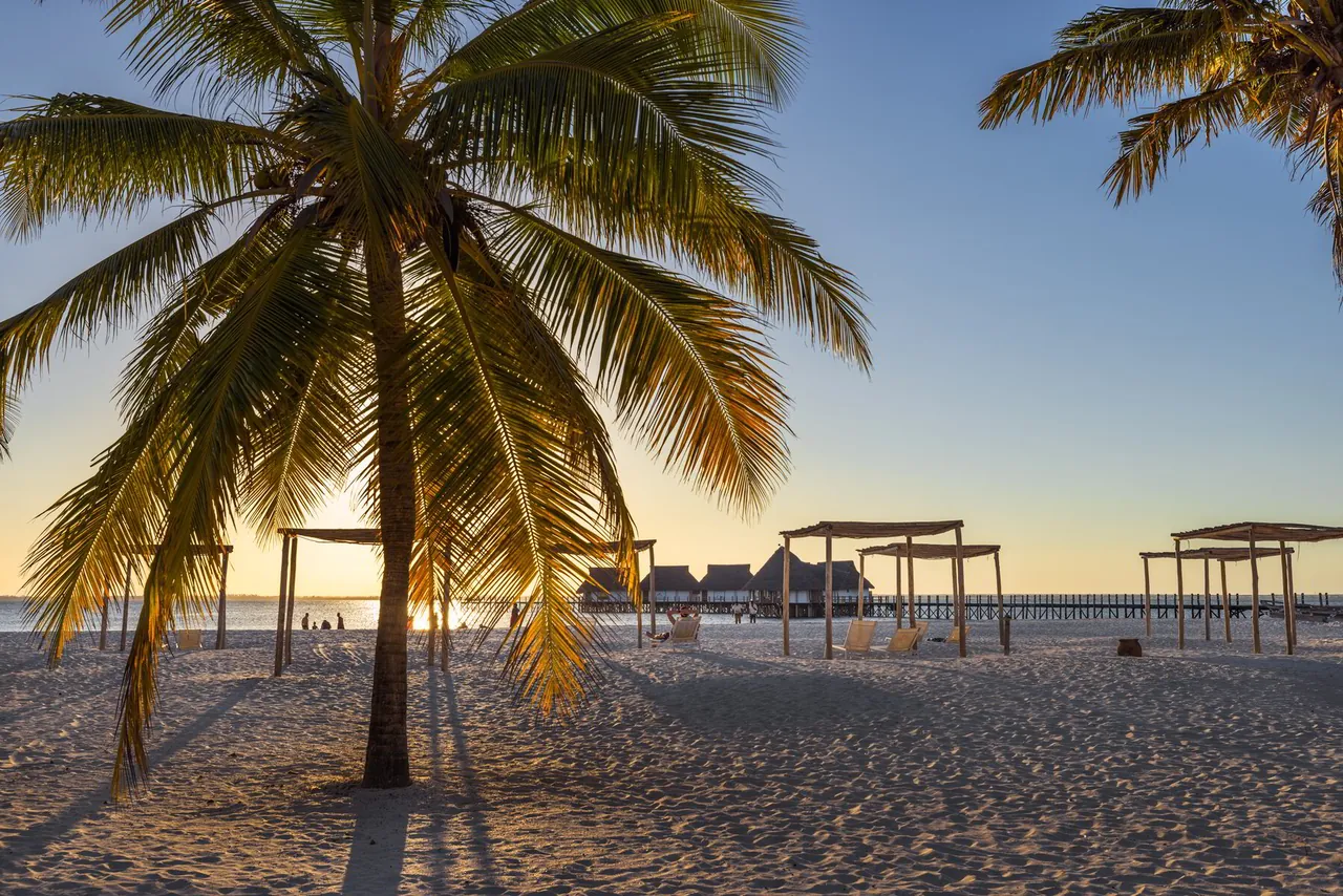 A palm tree on white sand with the sun setting over calm water