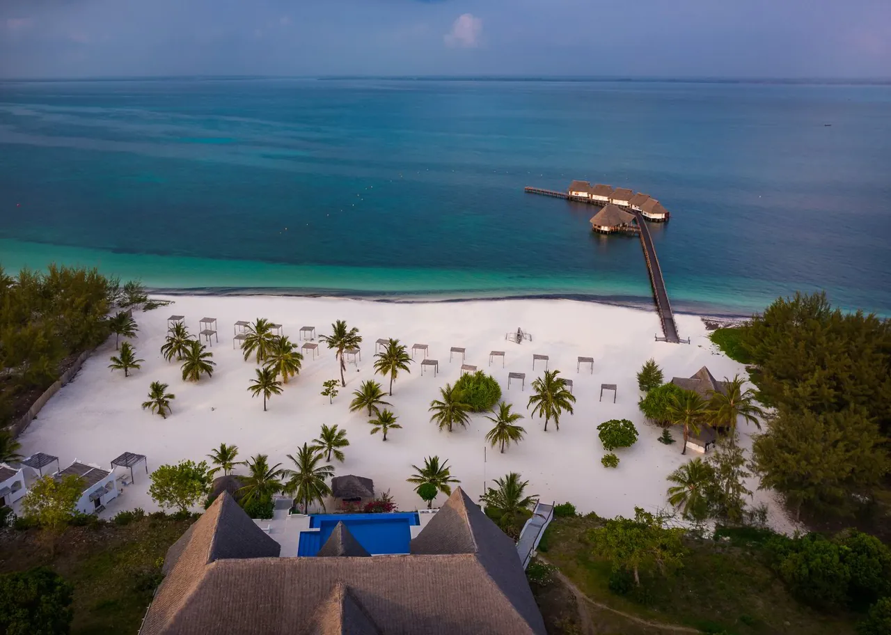 Aerial view of a white beach dotted with palms beside turquoise water
