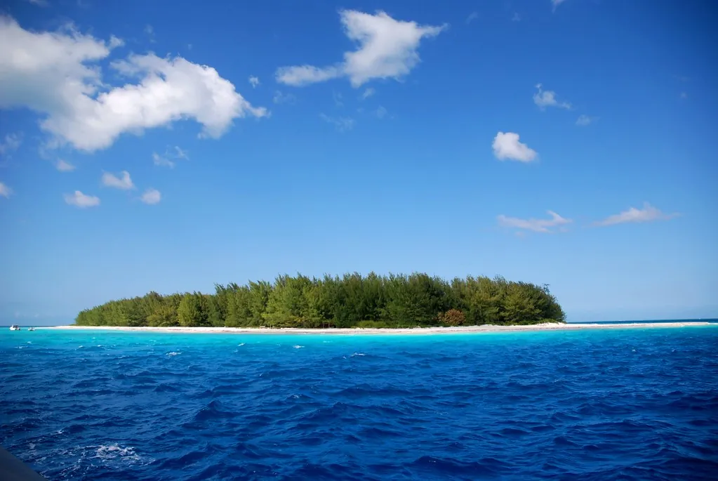 Low island covered in green trees ringed by white sand, seen across deep blue sea