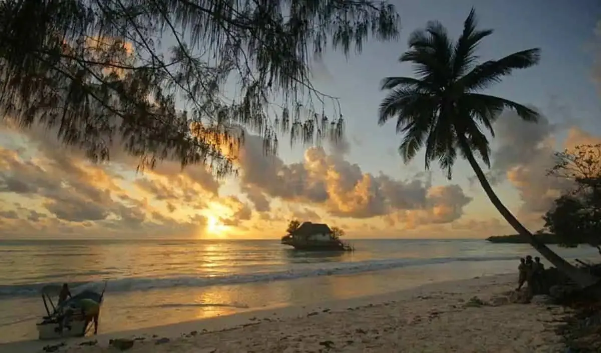 Silhouette of the rock restaurant at sea under a golden sky, framed by palm trees and casuarina branches on the beach.