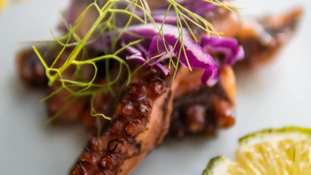 Close-up of grilled octopus garnished with red cabbage and herbs