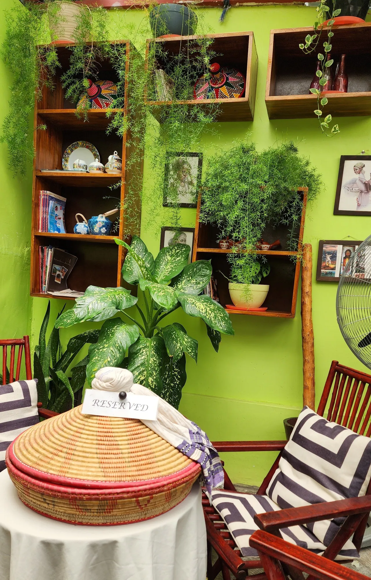 A corner of the dining room with bright green walls, shelves of plants and a woven mesob table
