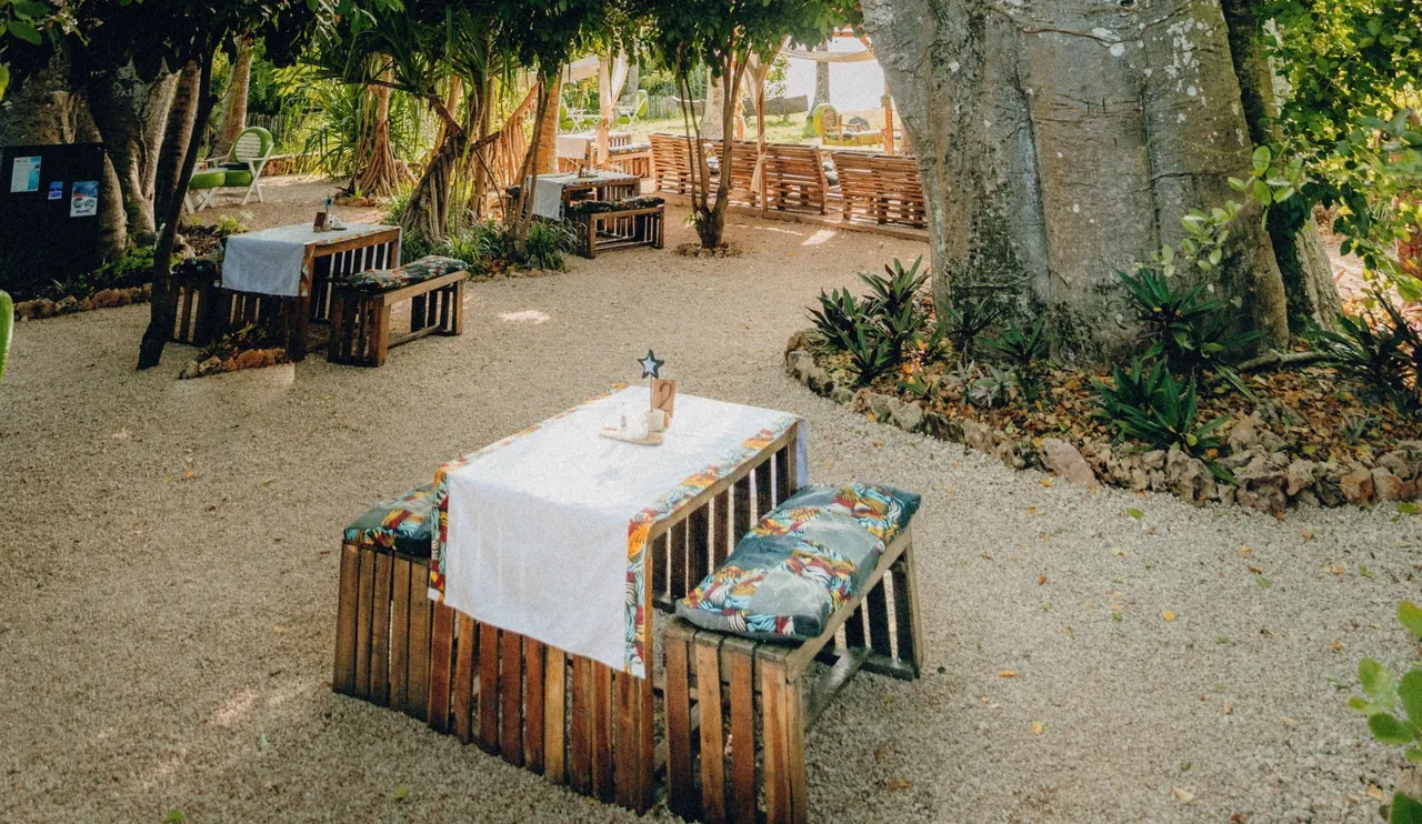 Upcycled wooden pallet tables with patterned cushions and white cloths on a gravel garden floor beside a huge baobab trunk.