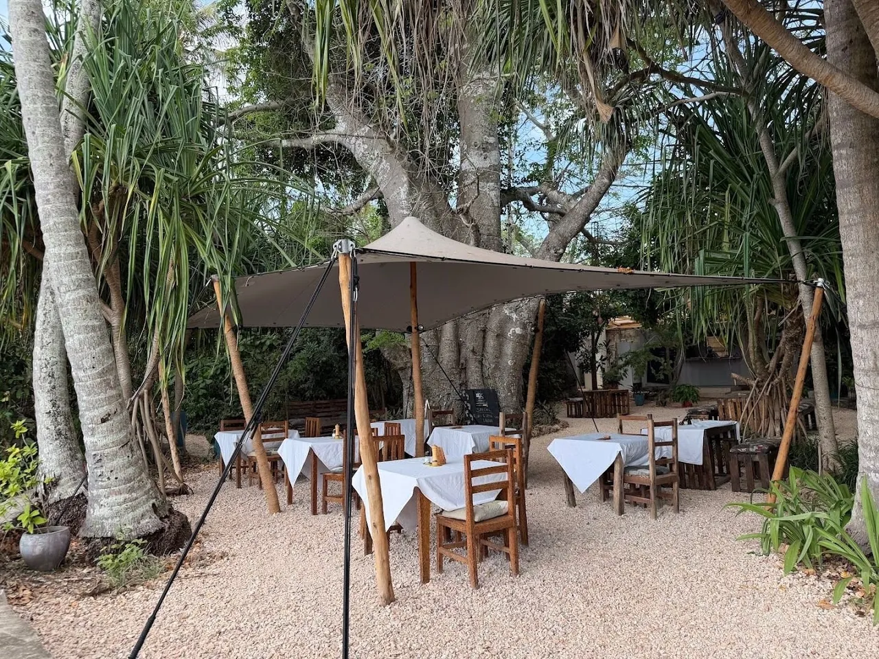 Tables with white cloths and wooden chairs under a shade sail among palms and pandanus trees on a gravel floor.