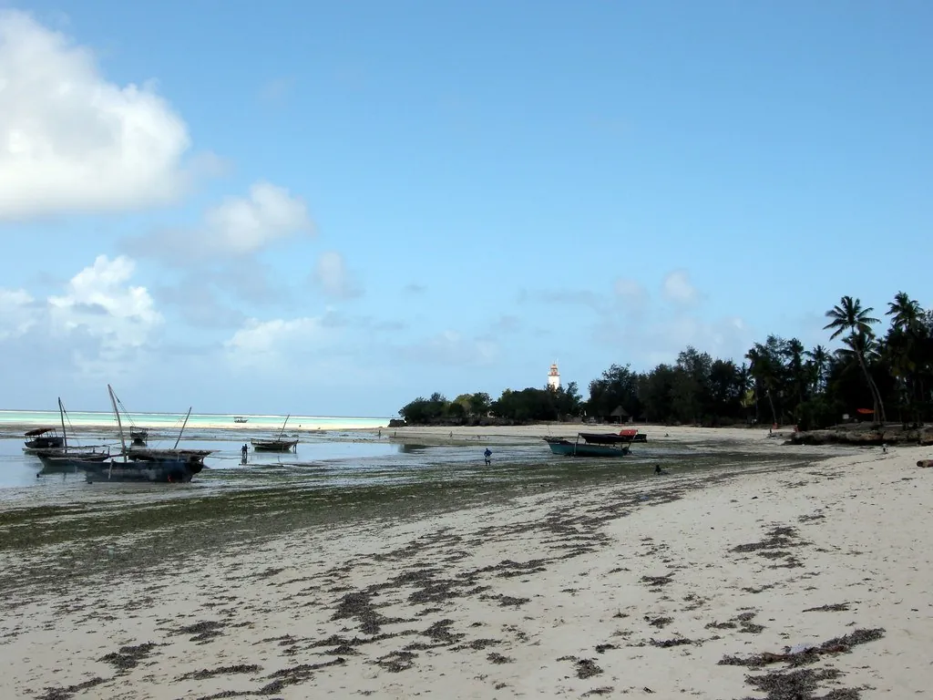 Boats beached at low tide in Nungwi harbour, with Ras Nungwi lighthouse among palms